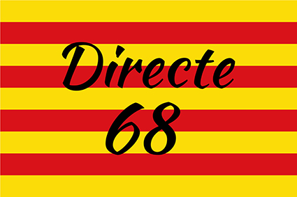 logo-Directe68-425